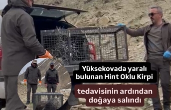 Yüksekovada yaralı bulunan Hint Oklu Kirpi tedavisinin ardından doğaya salındı