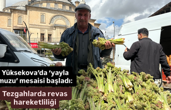 Yüksekova’da ‘yayla muzu’ mesaisi başladı: Tezgahlarda revas hareketliliği