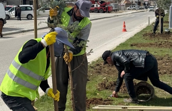 Yüksekova’da Yeşillendirme Çalışmaları Sürüyor