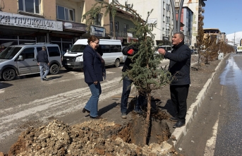 Yüksekova’da Yeşillendirme Çalışmaları Yeniden...