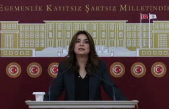 DEM Partili Koçyiğit: Barışın hukuka ihtiyacı...