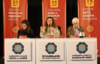 Diyarbakır’daki barış forumunda 2. gün | ‘Orta Doğu’da barışın imkanları’ paneli