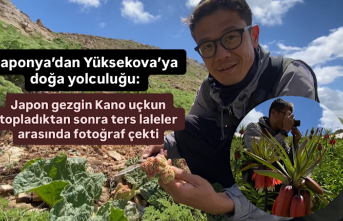 Japonya’dan Yüksekova’ya doğa yolculuğu: Japon gezgin Kano uçkun topladıktan sonra ters laleler arasında fotoğraf çekti