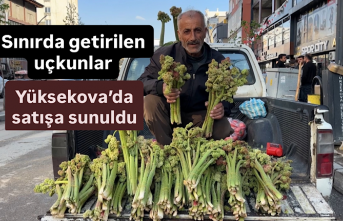 Sınırda getirilen uçkunlar Yüksekova’da satışa...