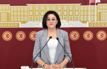 Van–Hakkâri hattındaki ölümlü kazalar Meclis gündeminde: Öznur Bartin’den soru önergeleri ve araştırma talebi