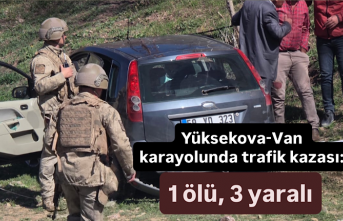 Yüksekova-Van karayolunda trafik kazası: 1 ölü,...