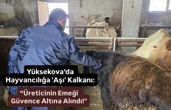 Yüksekova’da Hayvancılığa 'Aşı'...