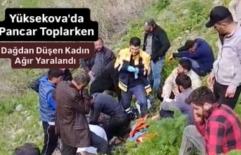Yüksekova’da pancar toplarken kayalıklardan düşen...