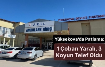 Yüksekova’da Patlama: 1 Çoban Yaralı, 3 Koyun...