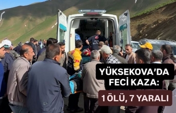 Yüksekova’daki Feci Kazada 1 Kişi Hayatını Kaybetti