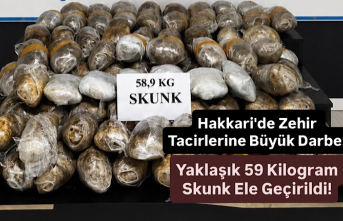 Hakkari'de Zehir Tacirlerine Büyük Darbe: Yaklaşık 59 Kilogram Skunk Ele Geçirildi!