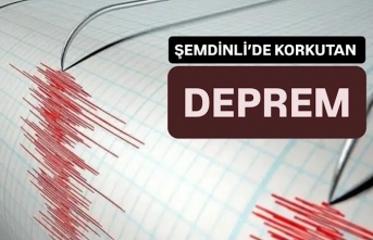 Şemdinli'de korkutan deprem!