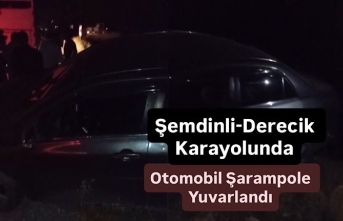 Şemdinli-Derecik Karayolunda Otomobil Şarampole...