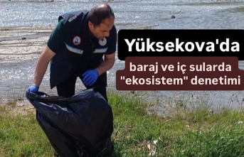 Yüksekova'da baraj ve iç sularda "ekosistem"...