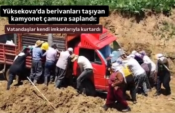 Yüksekova’da berivanları taşıyan kamyonet çamura saplandı: Kadınlar kendi imkanlarıyla kurtardı