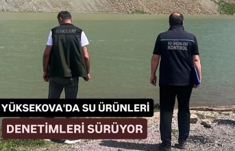 Yüksekova’da su ürünleri denetimleri sürüyor