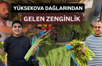 Yüksekova’nın Dağlarından Gelen Zenginlik