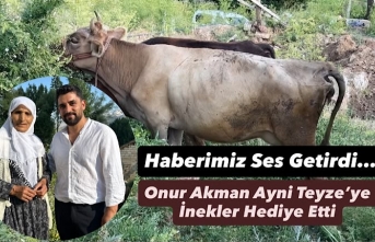 Haberimiz Ses Getirdi: Onur Akman Ayni Teyzeye İnekler Hediye Etti