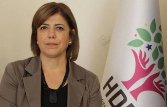 Meral Danış Beştaş: "Kürt meselesi bir terör...