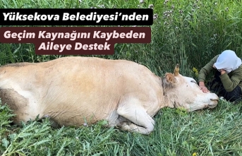 Yüksekova Belediyesi’nden Geçim Kaynağını Kaybeden...