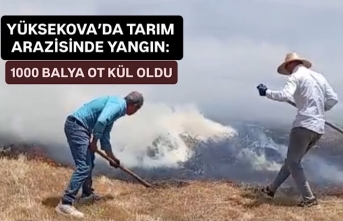 Yüksekova'da tarım arazisinde yangın: 1000 balya ot kül oldu