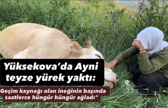 Yüksekova’da Ayni teyze yürek yaktı: "Geçim...