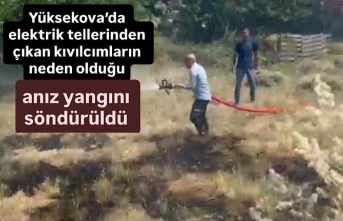 Yüksekova’da elektrik tellerinden çıkan kıvılcımların neden olduğu anız yangını söndürüldü