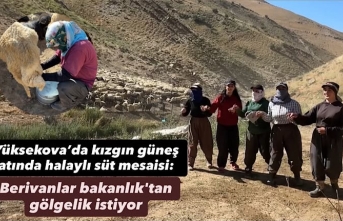 Yüksekova’da kızgın güneş atında halaylı...
