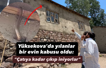 Yüksekova’da yılanlar bir evin kabusu oldu: “Çatıya kadar çıkıp iniyorlar”