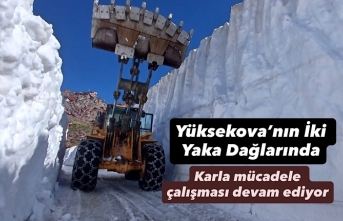 Yüksekova’nın İki Yaka Dağlarında Karla Mücadele Devam Ediyor