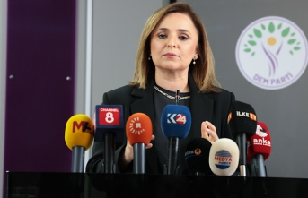 Ayşegül Doğan: ‘Eksikler nedeniyle Çerçeve Yasaya sırt çevirmemiz gerekmiyor’