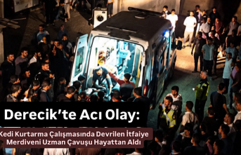 Derecik’te Acı Olay: Kedi Kurtarma Çalışmasında...