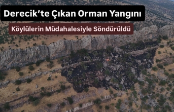 Derecik’te Çıkan Orman Yangını Köylülerin Müdahalesiyle Söndürüldü