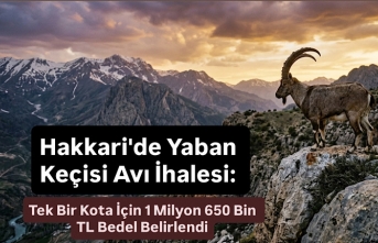 Hakkari'de Yaban Keçisi Avı İhalesi: Tek Bir...