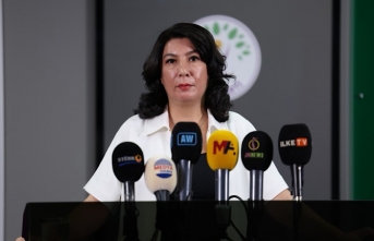 Halide Türkoğlu: Barış sürecinde kadın temsiliyeti...