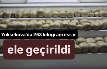 Yüksekova'da 253 kilogram esrar ele geçirildi
