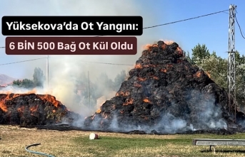 Yüksekova’da Ot Yangını: 6 Bin 500 Bağ Ot Kül Oldu