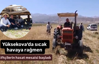 Yüksekova’da sıcak havaya rağmen çiftçilerin hasat mesaisi başladı