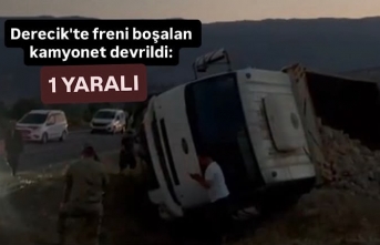 Derecik'te freni boşalan kamyonet devrildi: 1 Yaralı