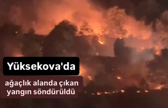 Yüksekova'da Ağaçlık Alanda Çıkan Yangın Söndürüldü