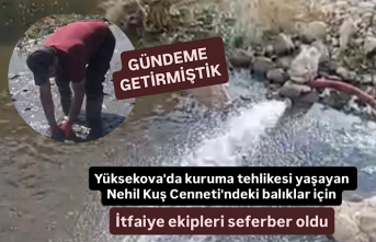 Yüksekova'da kuruma tehlikesi yaşayan Nehil Kuş Cenneti'ndeki balıklar için seferberlik