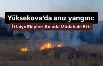 Yüksekova’da anız yangını: İtfaiye Ekipler...