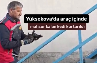 Yüksekova’da araç içinde mahsur kalan kedi kurtarıldı