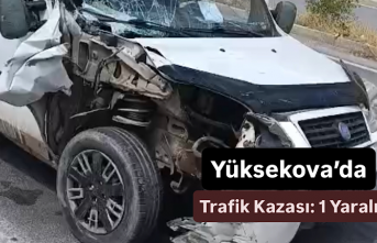 Yüksekova’da Trafik Kazası: 1 Yaralı