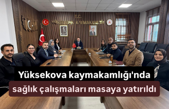 Yüksekova kaymakamlığı'nda sağlık çalışmaları...