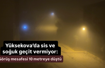 Yüksekova’da sis ve soğuk geçit vermiyor: Görüş mesafesi 10 metreye düştü