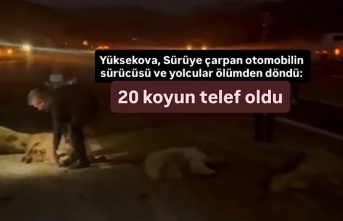 Yüksekova’da sürüye çarpan otomobilin sürücüsü...