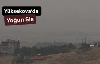Yüksekova’da yoğun sis