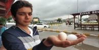Yumurta büyüklündeki dolu yağışı;20 kişiyi...
