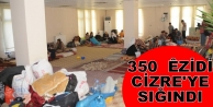 350 Êzidi, Cizre'ye sığındı